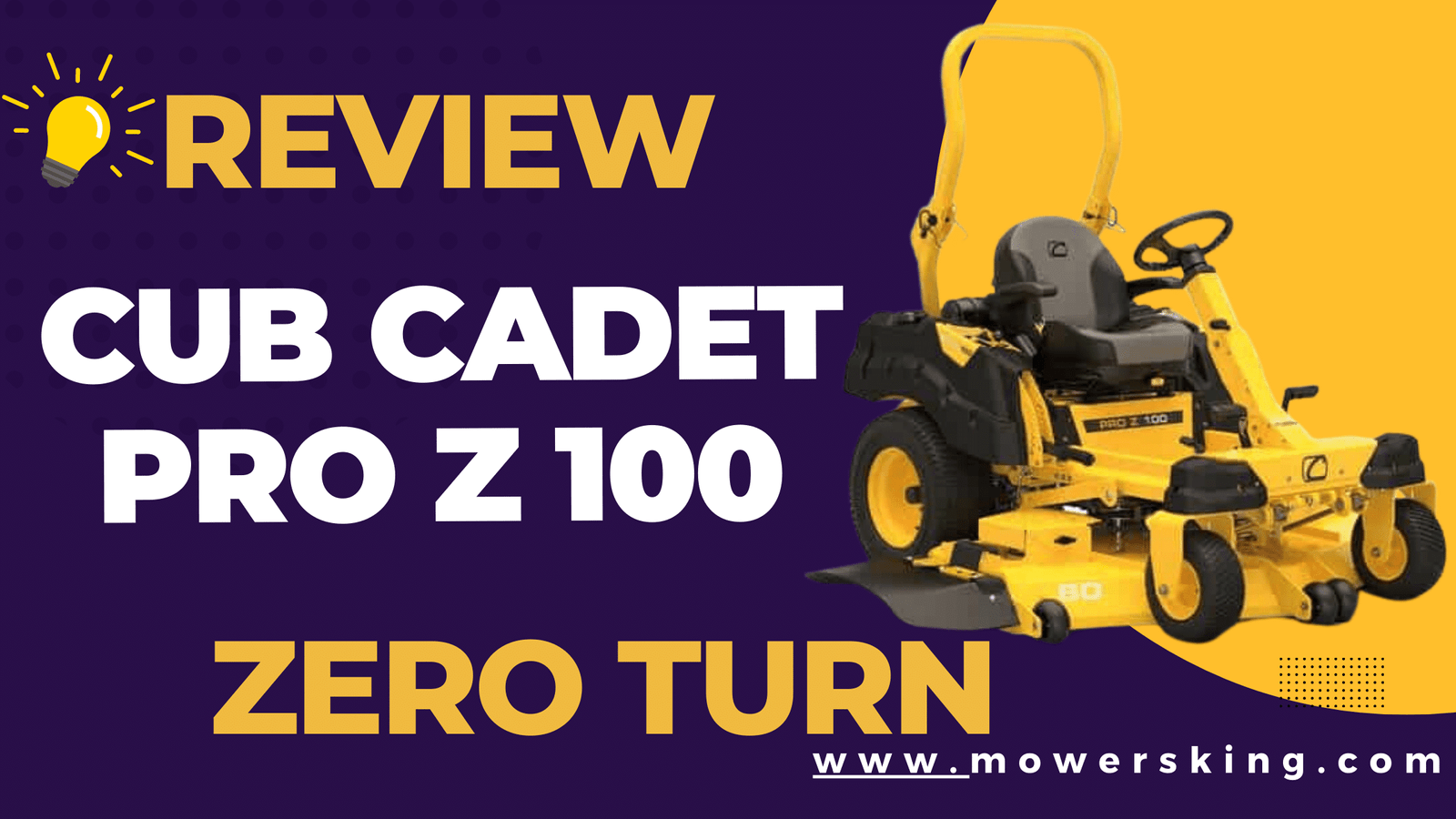 Cub Cadet Pro Z 100 review